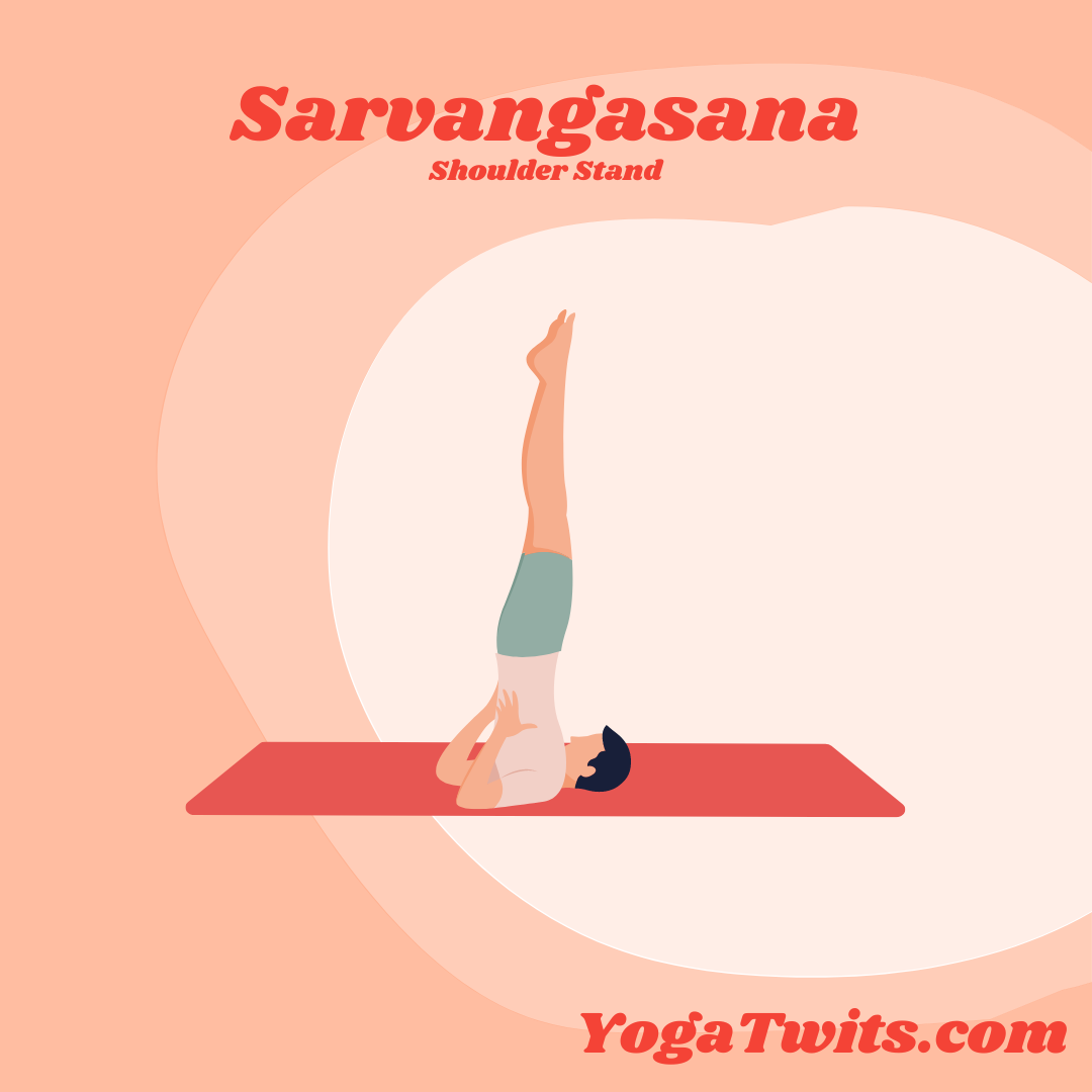 Sarvangasana